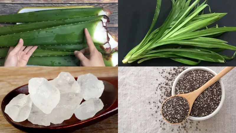 cách nấu nha đam hạt chia cách nấu nha đam hạt chia