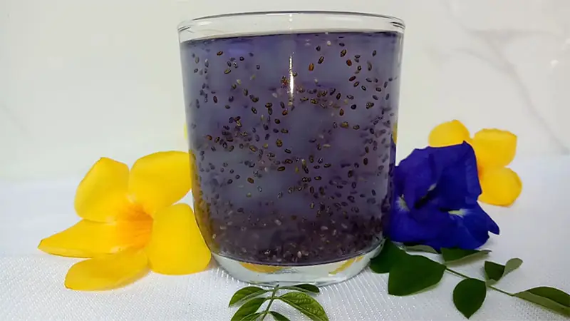 cách nấu nha đam hạt chia cách nấu nha đam hạt chia