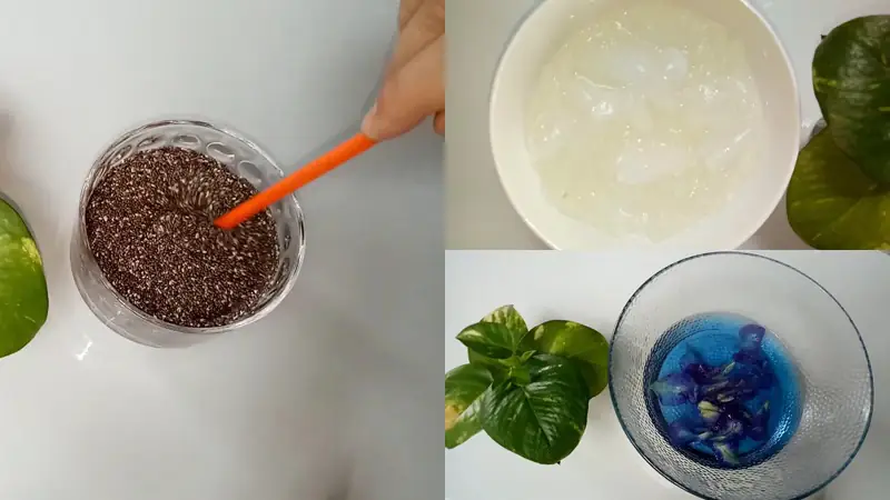 cách nấu nha đam hạt chia cách nấu nha đam hạt chia