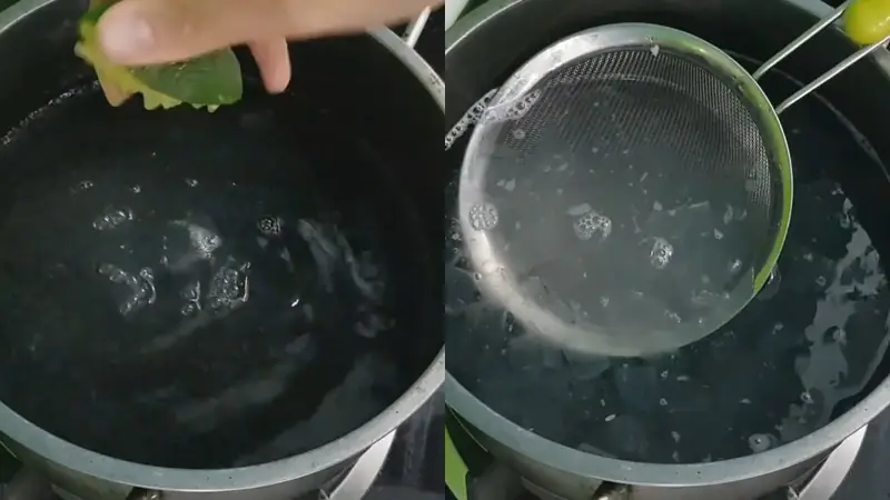 cách nấu nha đam hạt chia cách nấu nha đam hạt chia