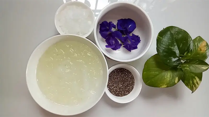 cách nấu nha đam hạt chia cách nấu nha đam hạt chia