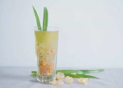 Hướng dẫn cách nấu nha đam mủ trôm hạt chia thanh mát