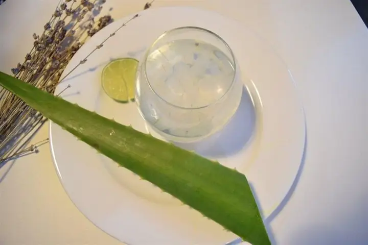 Cách Nấu Nha Đam Tươi Ngon Thanh Mát, Không Đắng Hay Nhớt