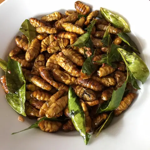 Cách Nấu Nhộng Tằm Ngon: Bí Quyết Chế Biến Món Ăn Độc Đáo Chuẩn Vị Cách Nấu Nhộng Tằm Ngon: Bí Quyết Chế Biến Món Ăn Độc Đáo Chuẩn Vị