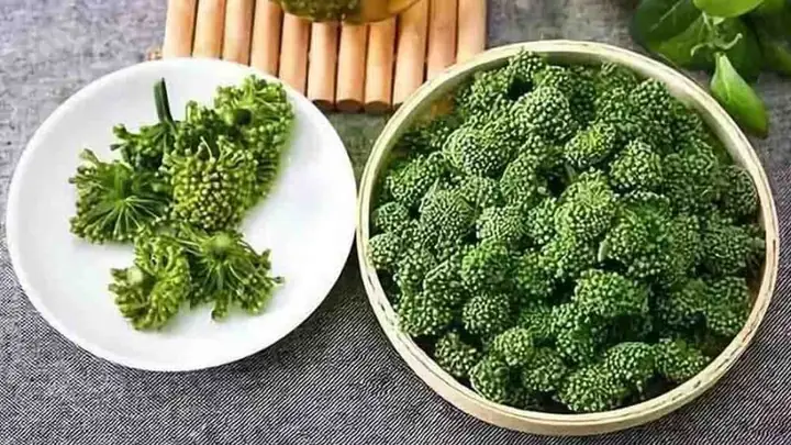 Cách Nấu Nụ Hoa Tam Thất: Công Thức & Lưu Ý Quan Trọng