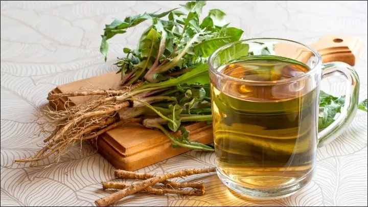 Cách Nấu Nước Bồ Công Anh Chuẩn Vị, Tốt Cho Sức Khỏe Cách Nấu Nước Bồ Công Anh Chuẩn Vị, Tốt Cho Sức Khỏe