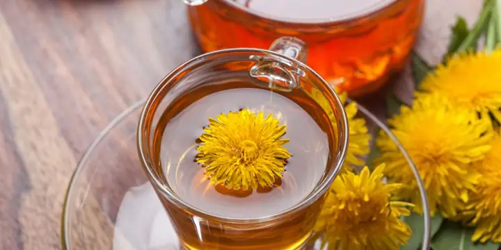 Cách Nấu Nước Bồ Công Anh Chuẩn Vị, Tốt Cho Sức Khỏe Cách Nấu Nước Bồ Công Anh Chuẩn Vị, Tốt Cho Sức Khỏe