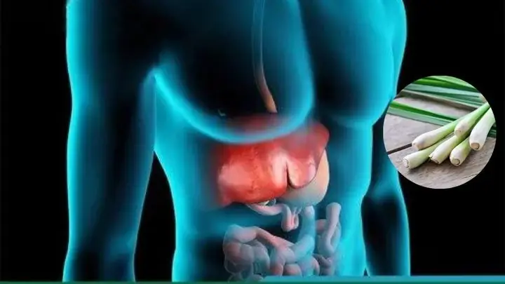Tác dụng của sả đối với gan