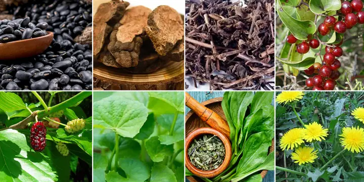 Cách Nấu Nước Đậu Đen Trị Mụn Hiệu Quả và Những Điều Cần Lưu Ý