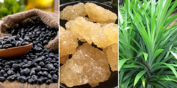 Cách Nấu Nước Đậu Đen Trị Mụn Hiệu Quả và Những Điều Cần Lưu Ý