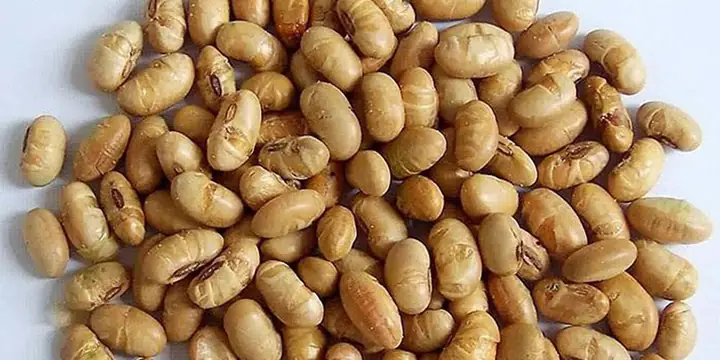 Cách Nấu Nước Đậu Nành Rang Thơm Ngon Bổ Dưỡng Tại Nhà