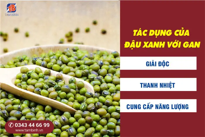 Nước đậu xanh giải nhiệt: Công thức, lợi ích & mẹo hay Nước đậu xanh giải nhiệt: Công thức, lợi ích & mẹo hay