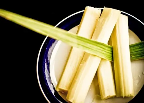Hướng dẫn chi tiết cách nấu nước dùng bằng mía cho bé