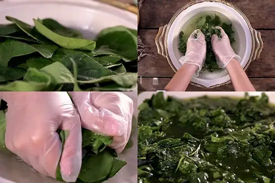 Cách vò lá sương sâm để không bị bọt