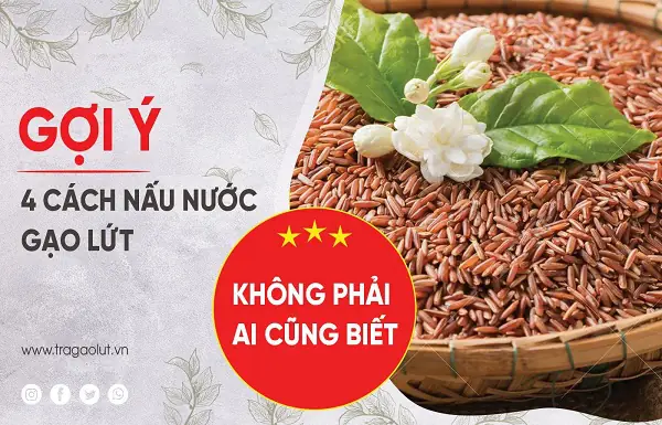 cách nấu nước gạo lứt