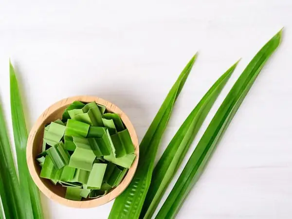 cách nấu nước lá dứa không bị đắng