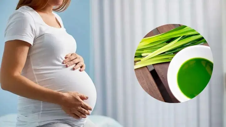 Cách Nấu Nước Lá Dứa Trị Tiểu Đường Đúng Cách, Hiệu Quả Cách Nấu Nước Lá Dứa Trị Tiểu Đường Đúng Cách, Hiệu Quả