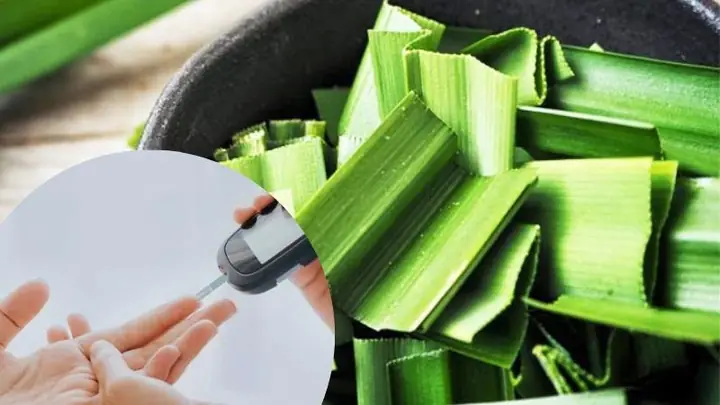 Cách Nấu Nước Lá Dứa Trị Tiểu Đường Đúng Cách, Hiệu Quả Cách Nấu Nước Lá Dứa Trị Tiểu Đường Đúng Cách, Hiệu Quả