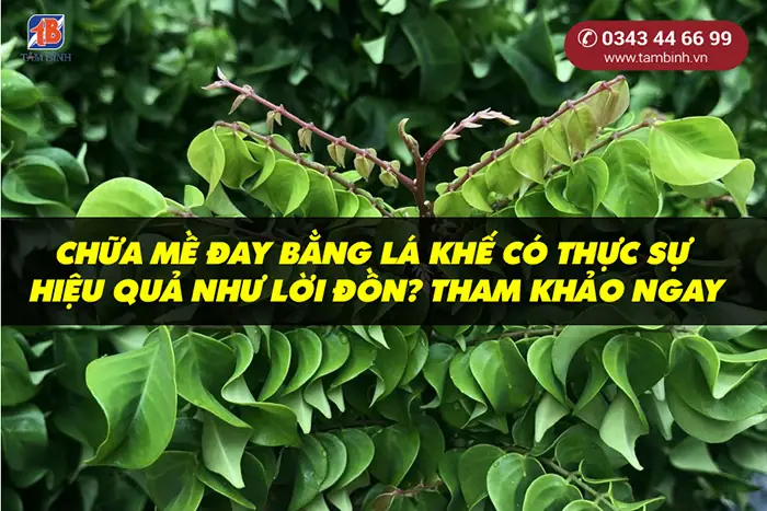 Hướng Dẫn Chi Tiết Cách Nấu Nước Lá Khế Tắm Đúng Chuẩn