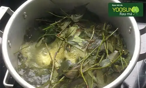 Cách Nấu Nước Lá Khế Tắm Cho Bé Đúng Chuẩn, An Toàn