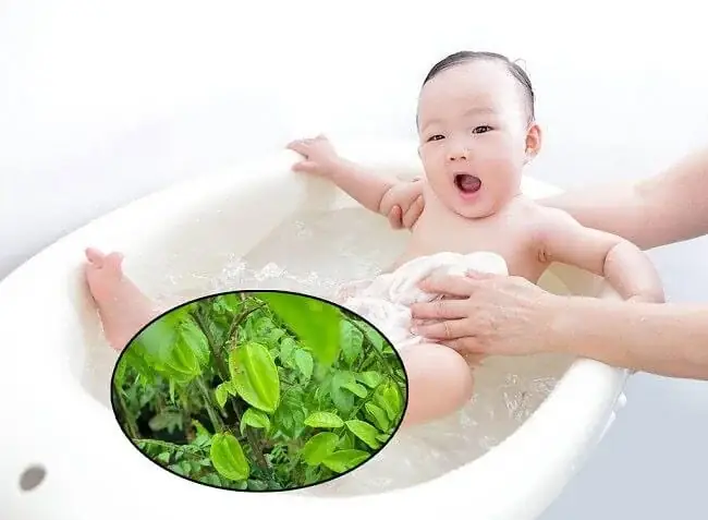 Cách Nấu Nước Lá Khế Tắm Cho Bé Đúng Chuẩn, An Toàn