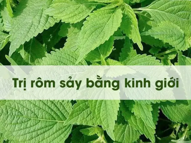 Cách Nấu Nước Lá Kinh Giới Tắm Cho Bé Đúng Chuẩn, An Toàn