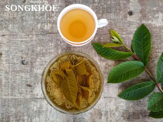 cách nấu nước lá ổi giảm cân cách nấu nước lá ổi giảm cân