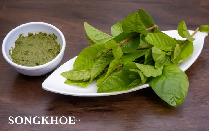 cách nấu nước lá ổi giảm cân cách nấu nước lá ổi giảm cân