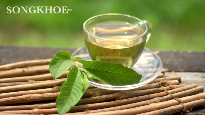 cách nấu nước lá ổi giảm cân cách nấu nước lá ổi giảm cân