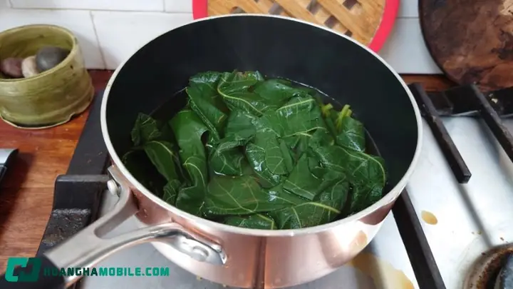 Cách Nấu Nước Lá Sung: Hướng Dẫn Chi Tiết và Những Lưu Ý Quan Trọng