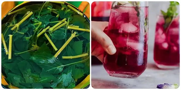 Cách Nấu Nước Lá Tía Tô Giải Cảm Hiệu Quả Tại Nhà