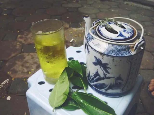 Hướng Dẫn Cách Nấu Nước Lá Vối Tươi Xanh Tại Nhà Đơn Giản Hướng Dẫn Cách Nấu Nước Lá Vối Tươi Xanh Tại Nhà Đơn Giản