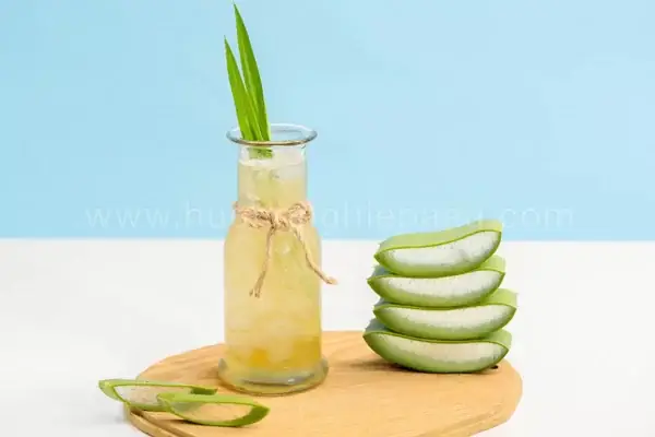 Cách Nấu Nước Nha Đam Để Bán: Công Thức Chuẩn & Bảo Quản Lâu