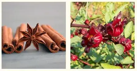 Cách pha nước quế atiso