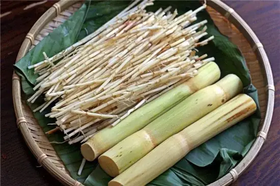 Cách Nấu Nước Râu Bắp Ngon Giải Nhiệt Đơn Giản Tại Nhà