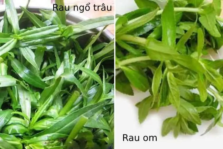 cách nấu nước rau ngổ
