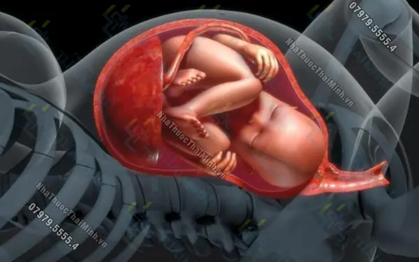 Cách nấu nước râu ngô cho bà bầu dư ối: Lợi ích và lưu ý