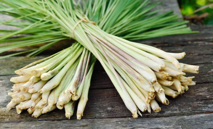 cách nấu nước sả uống với củ sả tươi và chanh