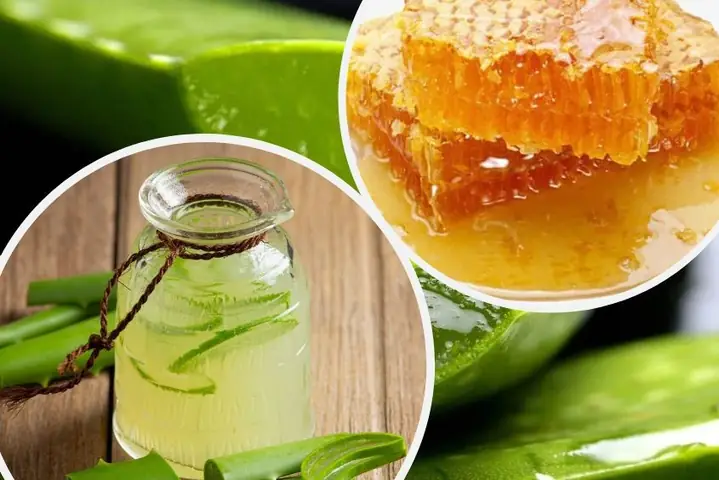 Cách Nấu Nước Sâm Nha Đam Thanh Mát Tại Nhà Đơn Giản Cách Nấu Nước Sâm Nha Đam Thanh Mát Tại Nhà Đơn Giản