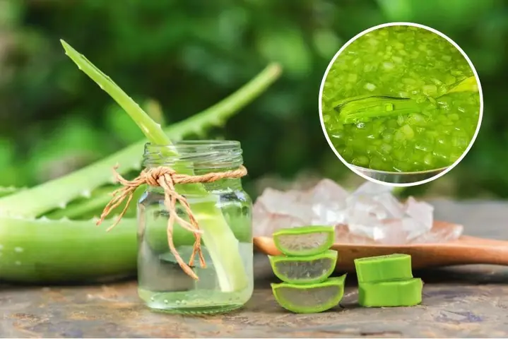 Cách Nấu Nước Sâm Nha Đam Thanh Mát Tại Nhà Đơn Giản Cách Nấu Nước Sâm Nha Đam Thanh Mát Tại Nhà Đơn Giản