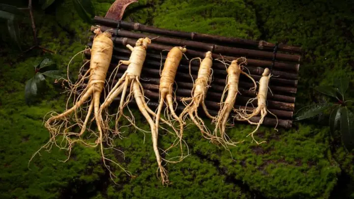 Cách Nấu Nước Sâm Tươi Giải Nhiệt Chuẩn Vị Tại Nhà