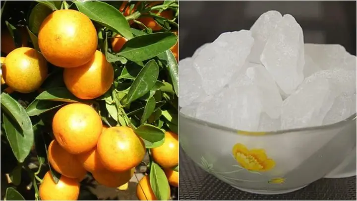 Cách Nấu Nước Tắc Đường Phèn Thơm Ngon, Giải Nhiệt Hiệu Quả