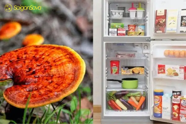 cách nấu nước táo đỏ