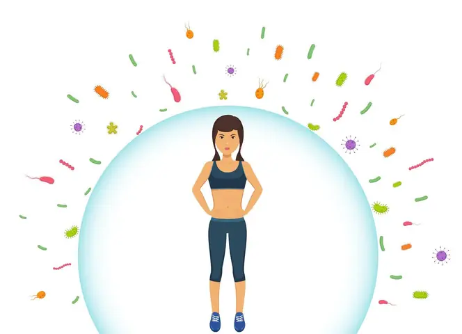 Nấu Nước Táo Tàu: Công Thức Chuẩn, Dễ Làm, Lợi Ích Sức Khỏe Nấu Nước Táo Tàu: Công Thức Chuẩn, Dễ Làm, Lợi Ích Sức Khỏe