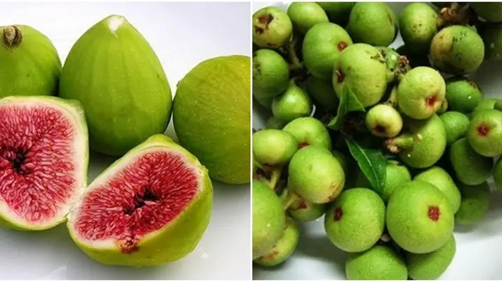 Cách Nấu Nước Trái Sung Ngon Chuẩn Vị, Tốt Cho Sức Khỏe