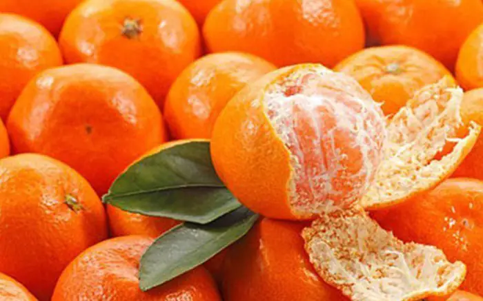 Cách Nấu Nước Vỏ Quýt Với Đường Phèn Giúp Bổ Phổi, Giảm Ho Hiệu Quả Cách Nấu Nước Vỏ Quýt Với Đường Phèn Giúp Bổ Phổi, Giảm Ho Hiệu Quả