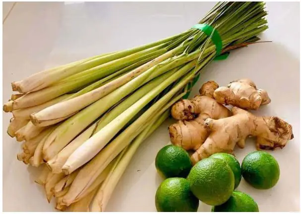 cách nấu nước xông giải cảm