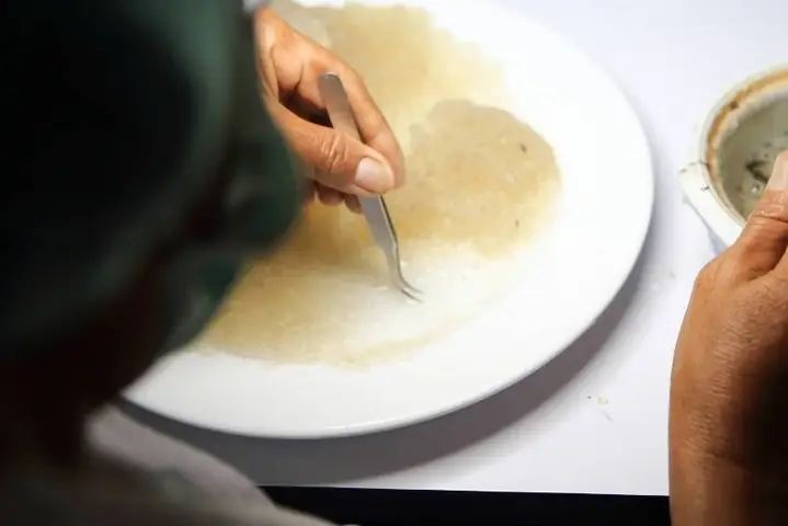 Cách Nấu Nước Yến Cho Bé Đúng Chuẩn và An Toàn Tại Nhà