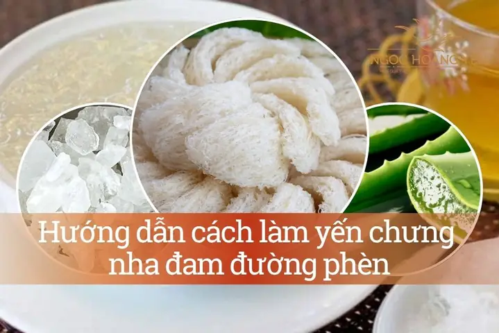 Hướng Dẫn Chi Tiết Cách Nấu Nước Yến Nha Đam Tại Nhà