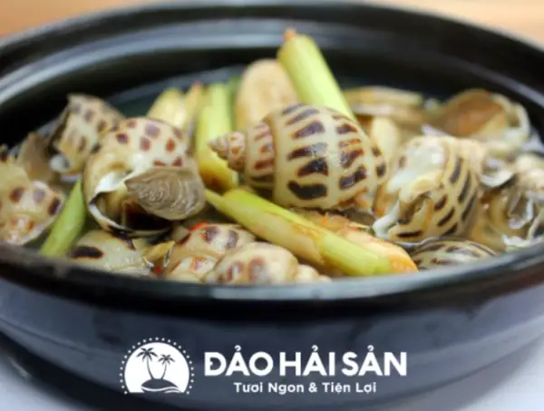 Hướng Dẫn Cách Nấu Ốc Biển Ngon Đơn Giản Tại Nhà